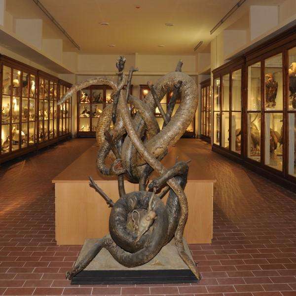 Galleria di storia naturale del Cams tra le visite guidate di Gran Tour Perugia